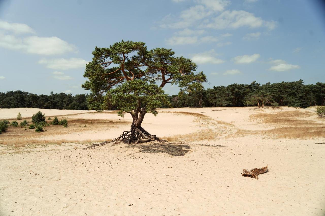 Veluwe Hotel De Beyaerd Хульсхорст Экстерьер фото
